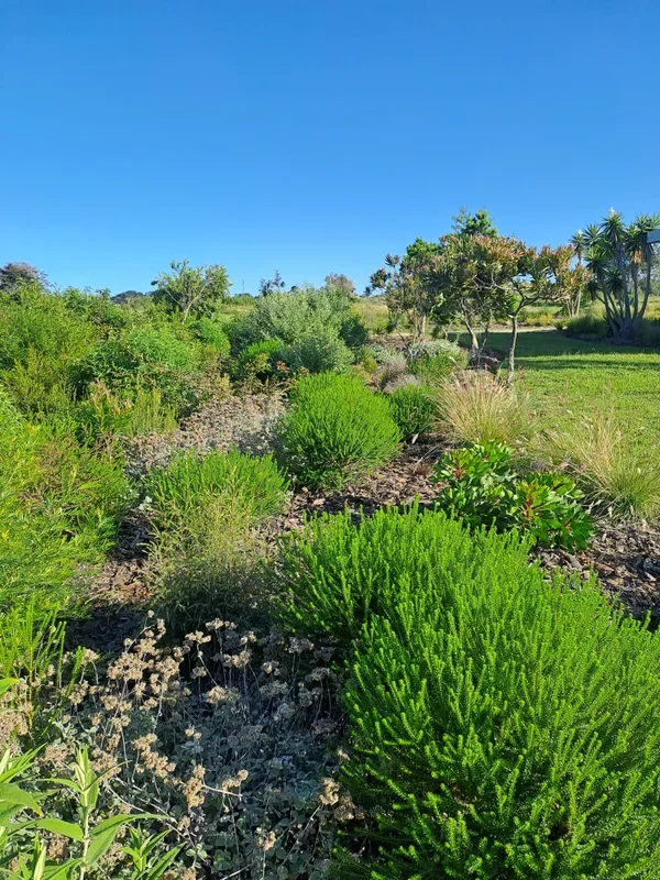 House Dyer ecological garden design, George
